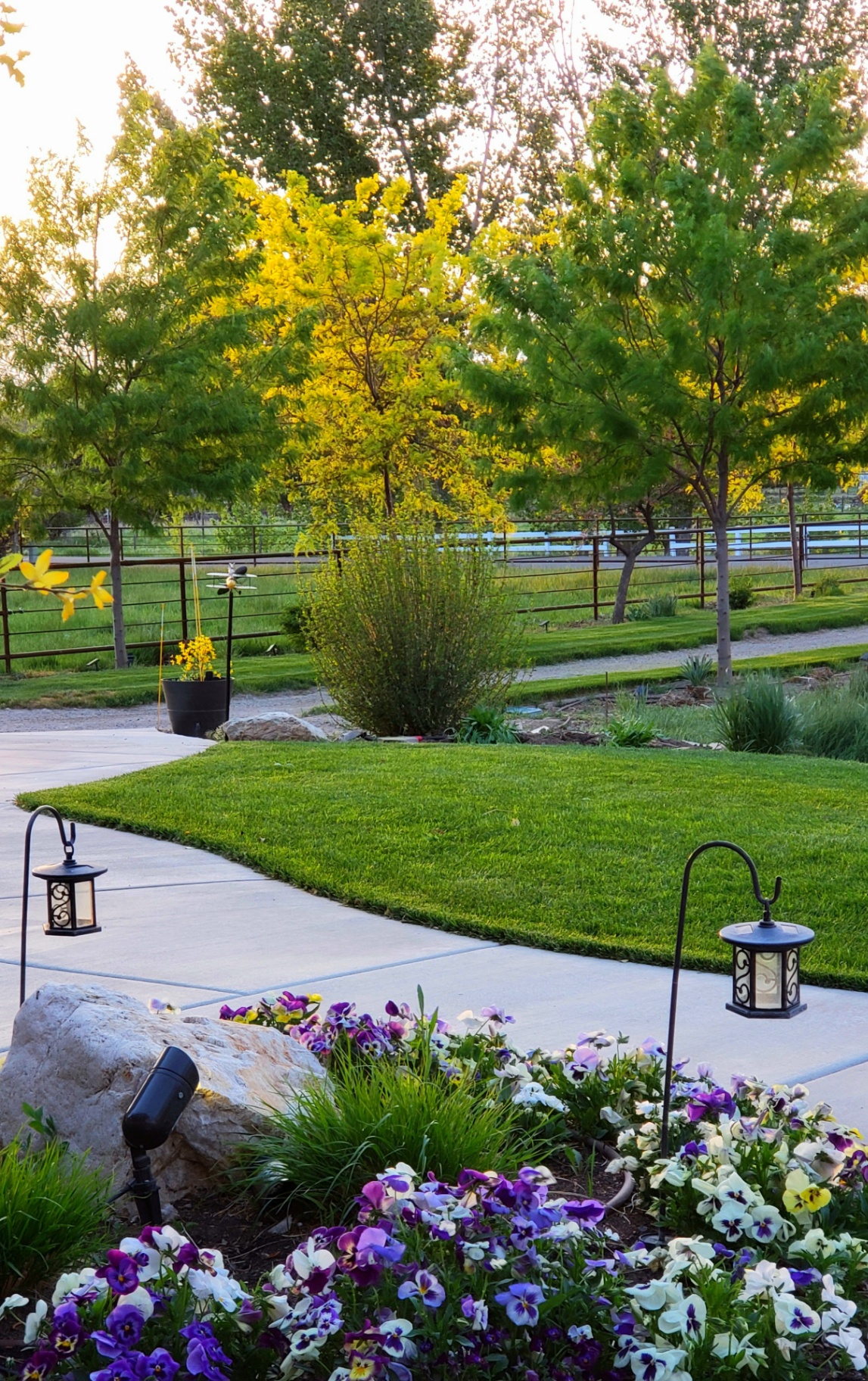 Garden path lined with spring flowers
