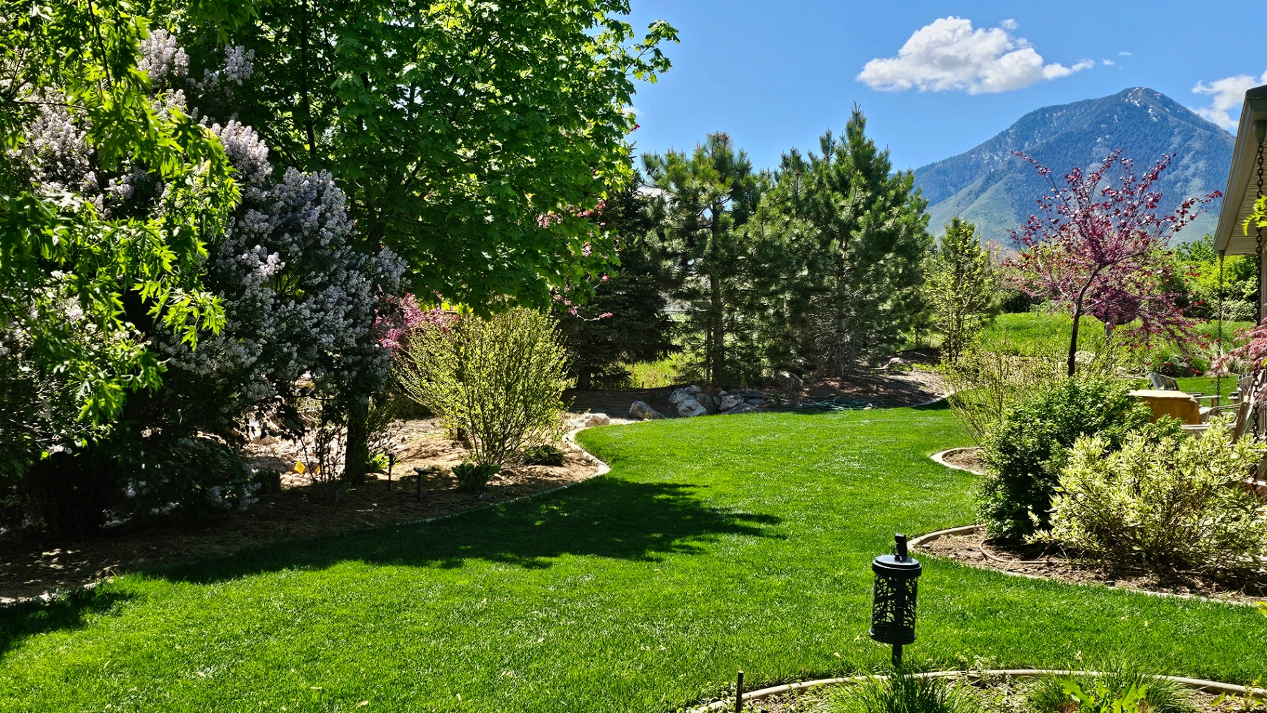 Spring lawn with mountain backdrop